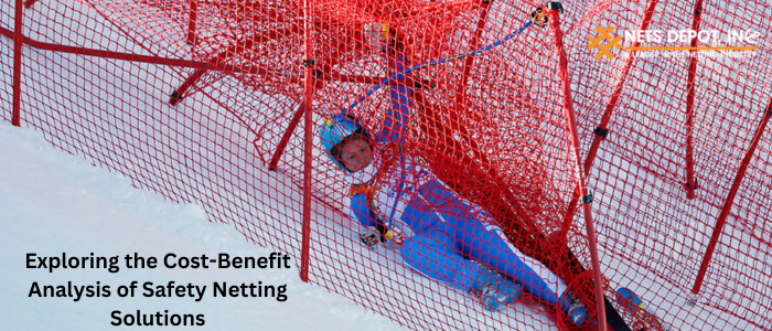 Exploring the Cost-Benefit Analysis of Safety Netting Solutions