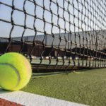 Everything You Need to Know About Sports Barrier Netting