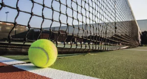 Need to Know About Sports Barrier Netting