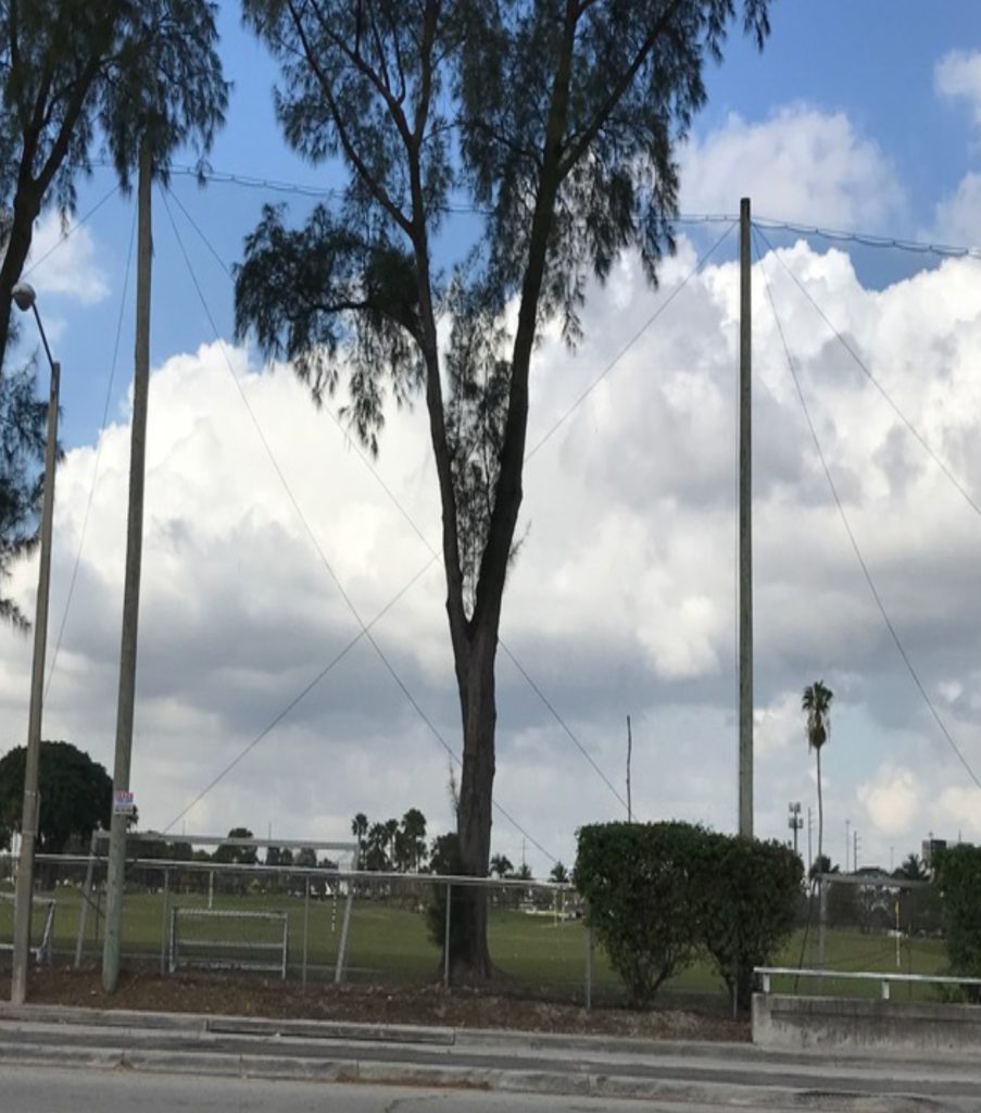 Custom outdoor Batting Cage Installation Miami