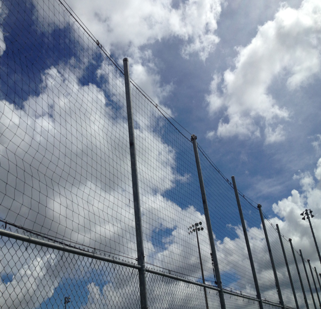 25ft High Netting Installation