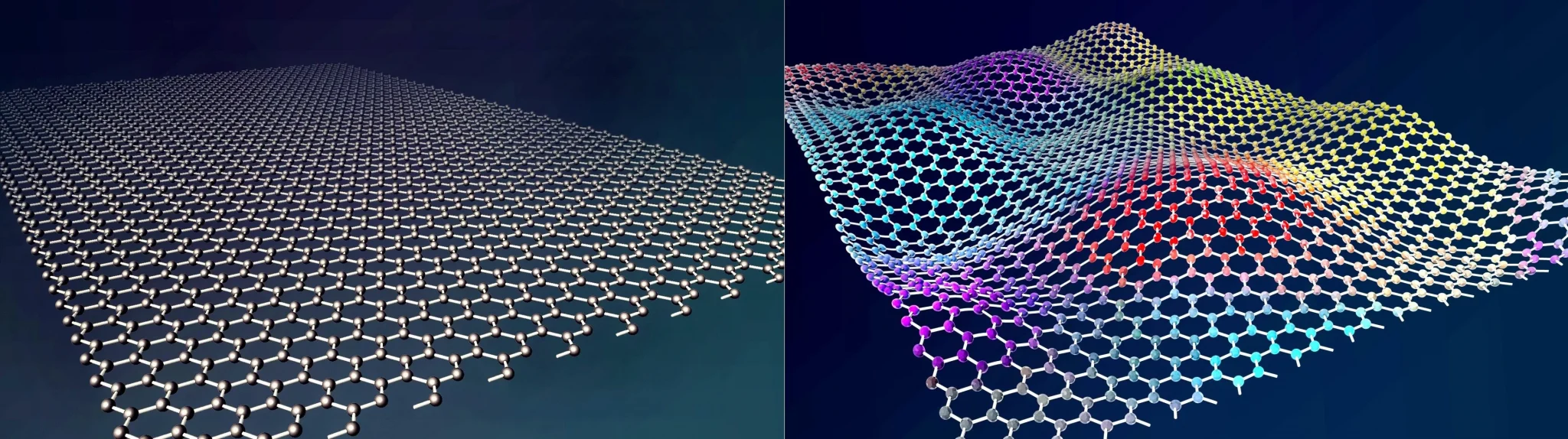 Comparing Common Netting Materials