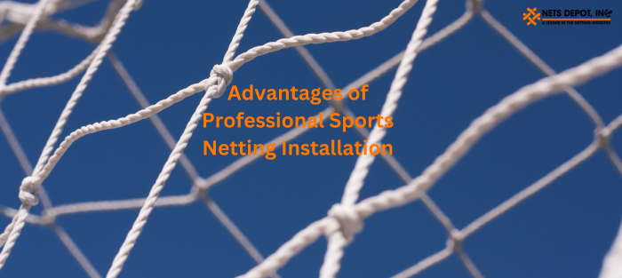 Advantages of Professional Sports Netting Installation